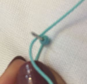 11753689_10153523318563817_8942727112657131478_n