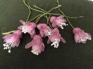 11992136_10153614276368817_1496547981_n