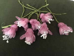 11992136_10153614276368817_1496547981_n