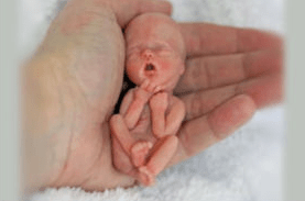 PicsArt_06-15-11.00.35